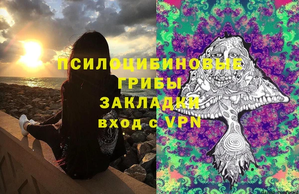 эйфоретик Куйбышев