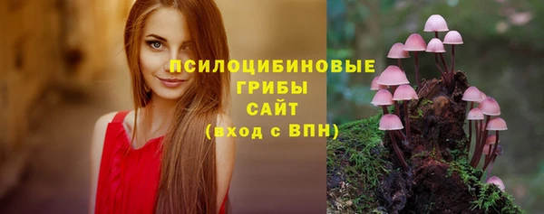 трава Краснослободск