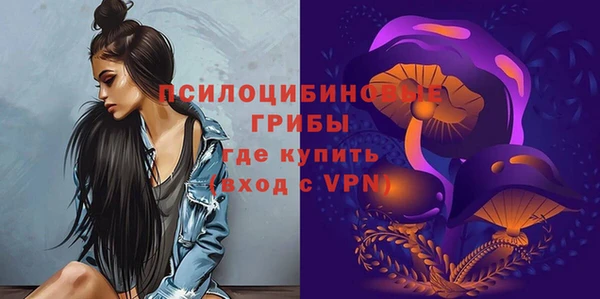 эйфоретик Куйбышев