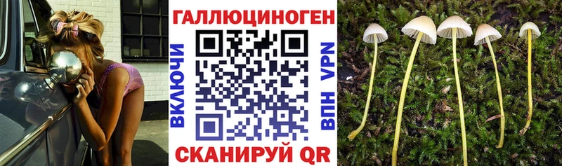 где купить наркотик  Лесозаводск  kraken ССЫЛКА  Галлюциногенные грибы GOLDEN TEACHER 